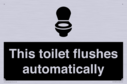 this-toilet-flushes-automatically~